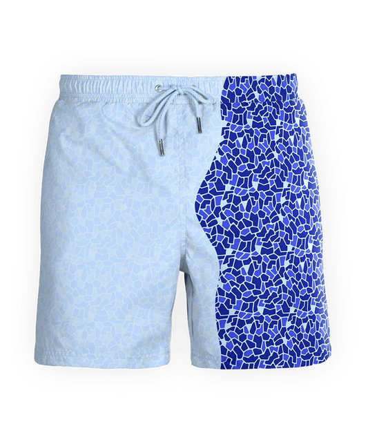 Mosaic Blue | Swim Shorts